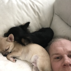 Profilbild på Ville Vuorisalo