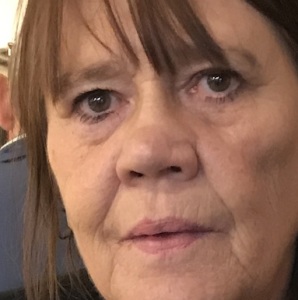 Profilbild på Viveca Brännström