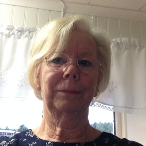 Profilbild på Vivi-Ann Englund