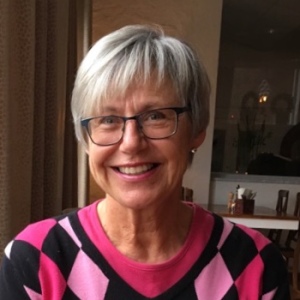 Profilbild på Vivi-Anne Sjöö