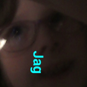 Profilbild på Wilma Mollwing
