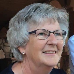 Profilbild på Wivi-Ann Norlin